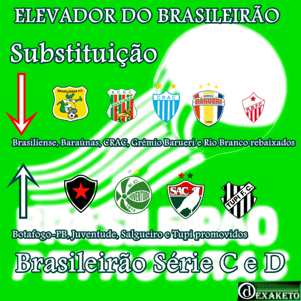 Elevador do Brasileirão Série C - Série D 2013