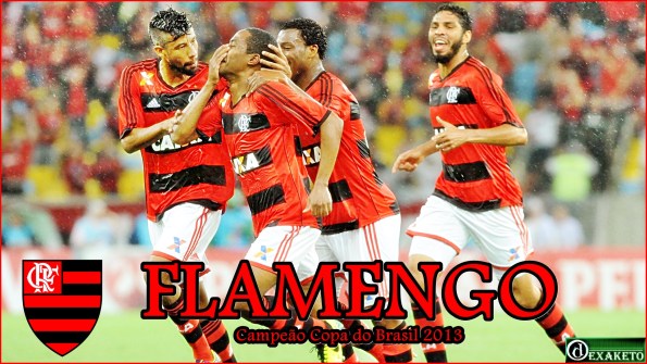 Flamengo Campeão Copa do Brasil 2013